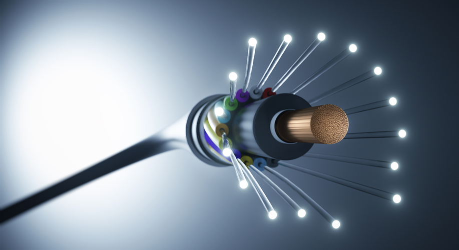 fiber to the home